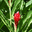 Tammy_C